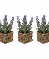 Set van 3x stuks kunstplanten paarse lavendel in rieten mandje 19 cm